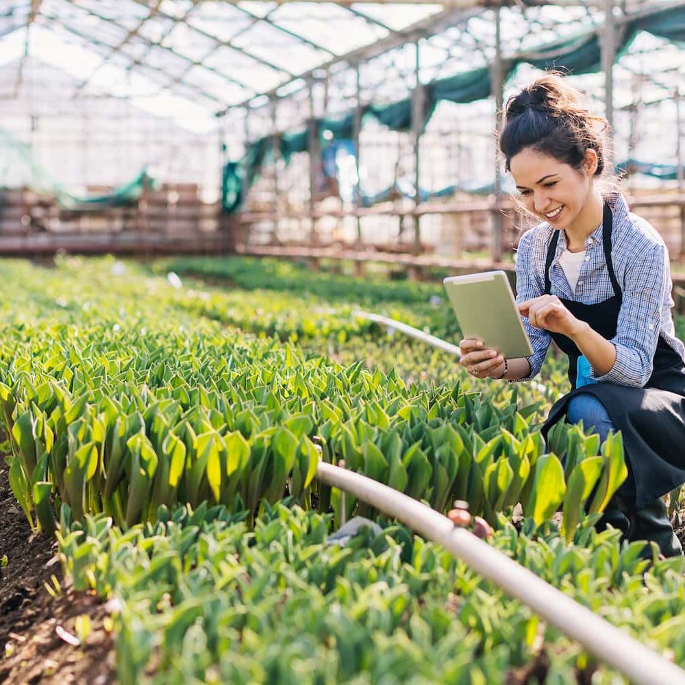 Agri and food